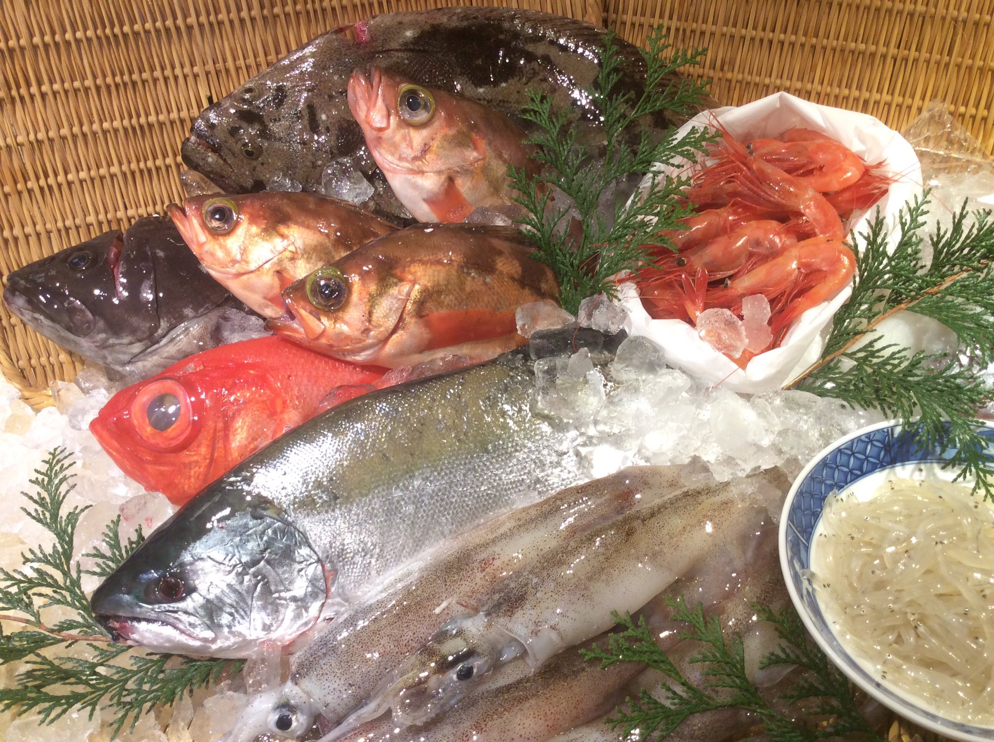 Twitter এ 秋葉原 末広町 居酒屋 魚や藤海 青森からサクラマス 春告魚メバル 子持ちヤリイカ 千葉金目鯛 平目 三重ハタ 宮城白魚 北海道甘海老 水蛸 サクラマスは春野菜とホイル焼きに メバルは丸ごと姿煮か姿焼きで 子持ちヤリイカは煮付けでご提供しま