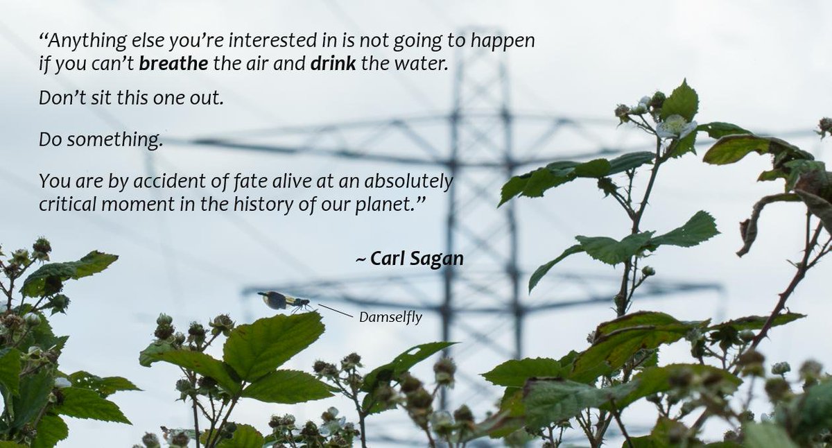 Noname06401912's tweet photo. @antonioguterres @JMPSimor It'll take longer for the affects to be felt,but in the  coming decades the #ClimateCrisis will be the cause of population migration,more famine,&amp; possible global pandemics &amp; conflict,however large ones cushion of wealth is,you can't eat or drink money  https://t.co/hHI1DMw50B