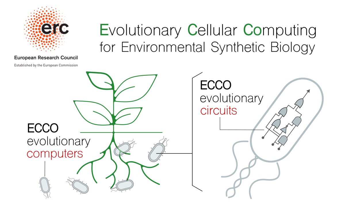 Happy to say I’ve been awarded an ERC Consolidator Grant #ERCCoG @ERC_Research for my project ECCO. We’ll be interfacing #ComputerScience and #SyntheticBiology through the lens of #Evolution toward ecosystems engineering. Let’s go! #synbio #biocomputing @CBGP_Madrid @La_UPM