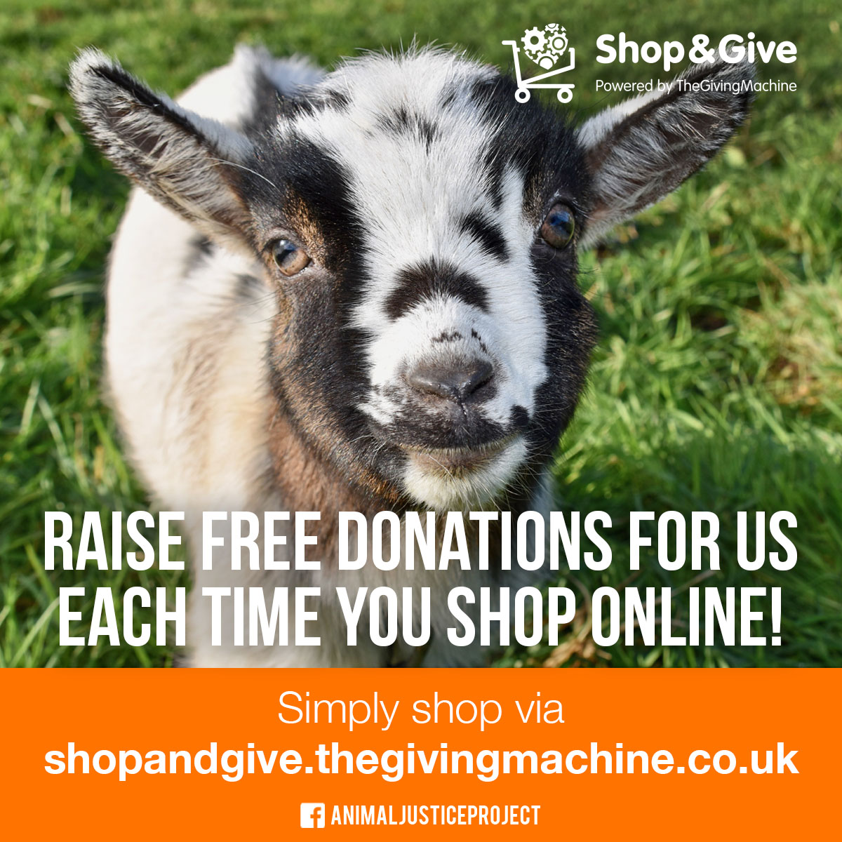 ajpReact's tweet photo. We’ve joined @GivingMachineUK – generate free donations for us when you shop online. Please join in &amp; share 

https://t.co/3XACjp1UOw

#TheGivingMachine #VeganAnimalRights #Vegan #VegansOfIG #Charity https://t.co/UGijU3HMlJ