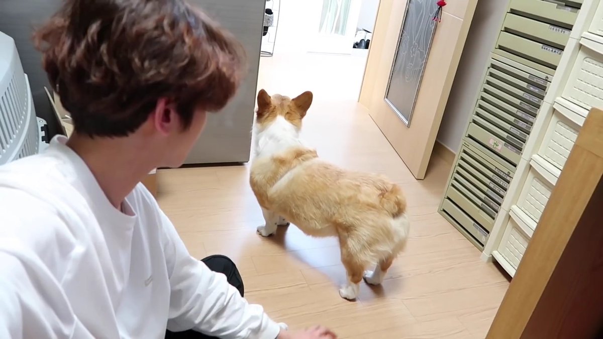 bbhsfile's tweet image. 2019                                        2022