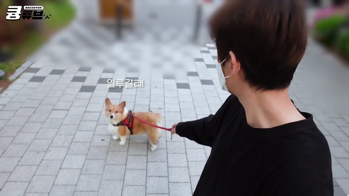 bbhsfile's tweet image. 2019                                        2022