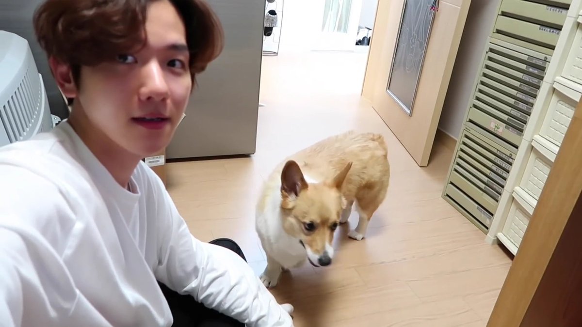 bbhsfile's tweet image. 2019                                        2022