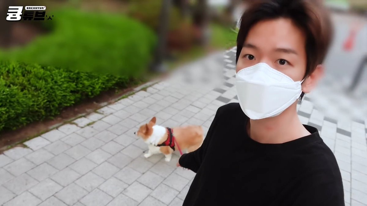 bbhsfile's tweet image. 2019                                        2022