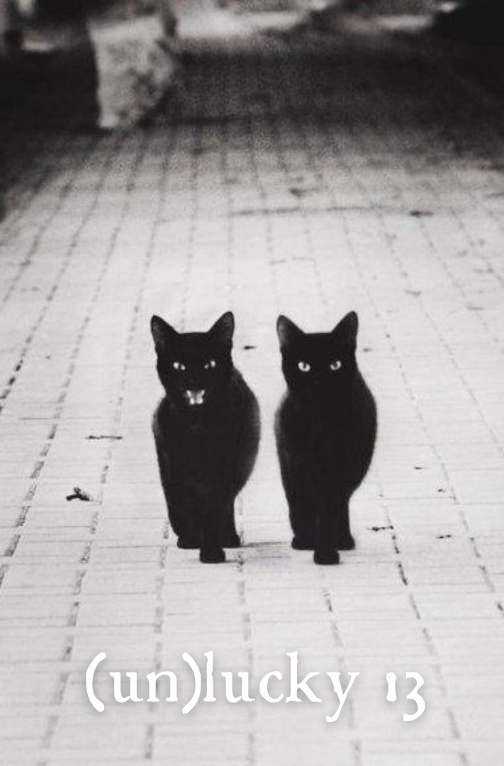 Not feeling the luck of the Irish☘️ today? Be a part of Hide Your Crazy's 🐈‍⬛(un)lucky 13 club🐈‍⬛ instead! The next 13 backers that get us to a total of 200 backers will be awarded extra bonus swag and be a part of the exclusive (un)lucky 13🐈‍⬛. Link in bio!