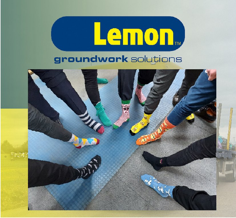 Lemon Reinforcement tweet media