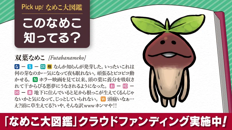 なめこ屋 on X: 