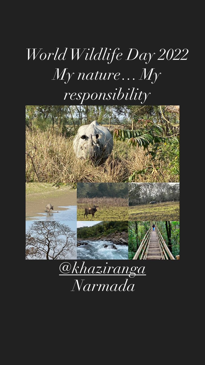 Ncpid2022's tweet photo. World Wildlife Day - Save the endangered animals for future https://t.co/kwptLpoGJd