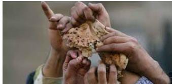 It's not business as usual. Njaa itatumaliza. #NJAARevolution <a href="/KeTreasury/">The National Treasury & Economic Planning</a> @kilimoKE <a href="/StateHouseKenya/">State House Kenya</a> <a href="/UhaiWetu/">Social Justice Centres Working Group</a>