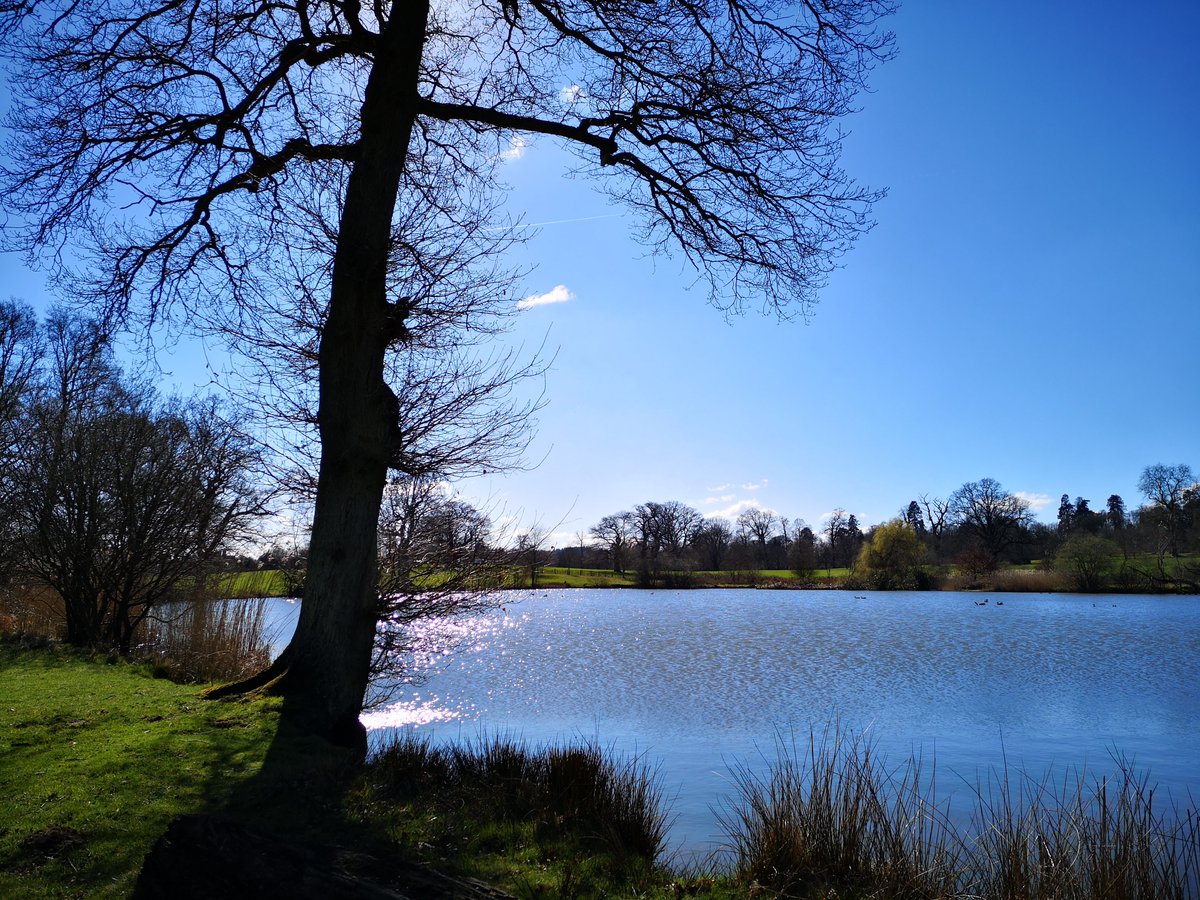 PenshurstPlace's tweet photo. You can't top that view on a crisp Spring morning! ☀️

#PenshurstPlace #ExploreKent #PenshurstPlaceEstate https://t.co/xOM4lQsok4