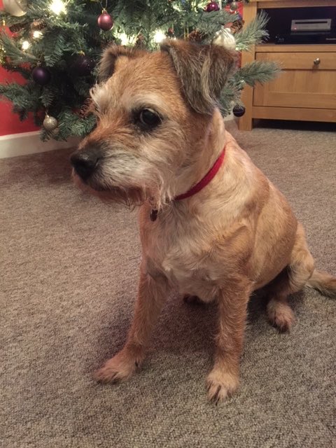 SnoopBT's tweet image. #ThrowbackThursday to Snoop giving me the side eye! 😂👀#btposse