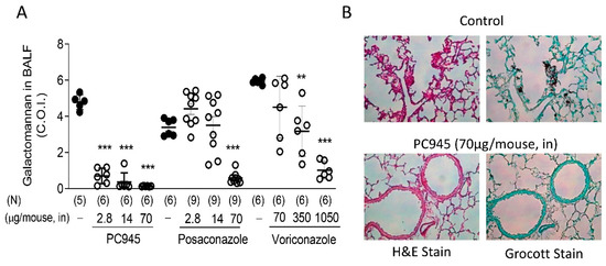 JoF_MDPI's tweet photo. A review entitled “PC945, a Novel Inhaled #Antifungal Agent, for the Treatment of Respiratory #Fungal_Infections” from Pete Strong et al.

View full text at https://t.co/VedkyB0Uzg https://t.co/hleSXDyEIz