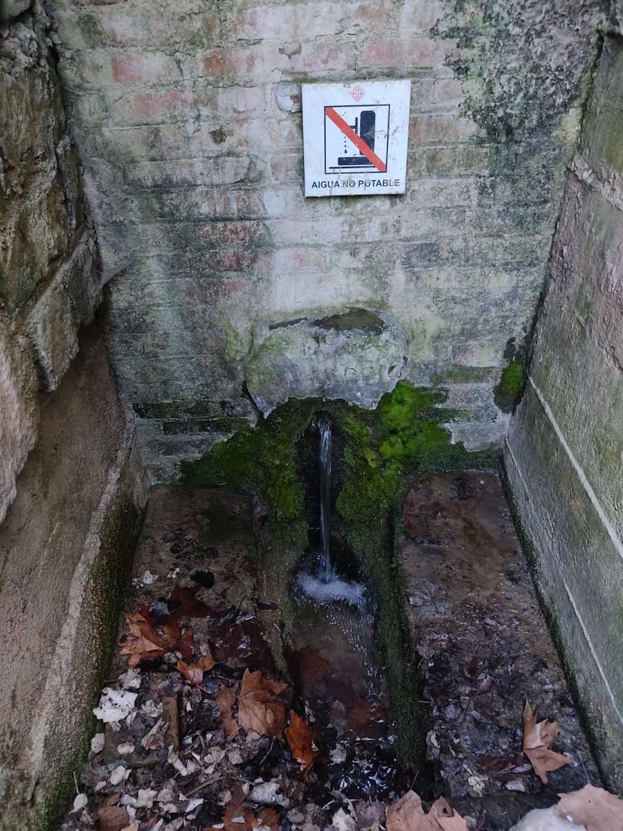 ⚠️ Dilluns 21 de març a les 17:30h presentarem els resultats de contaminació per nitrats de les fonts d'#Osona i #Lluçanès a la font de la Font de Malla, que per primer cop en molts anys no raja. Purins i sequera, dos problemes greus que aquest any es fan notar.
#MostreigFonts22