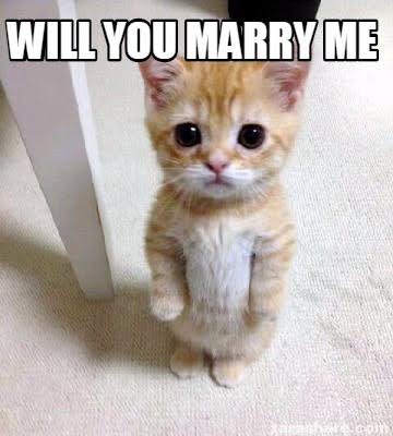 hangonie's tweet photo. say yes 😿
@Stray_Kids #StrayKidsComeback https://t.co/pWqTG46TgY