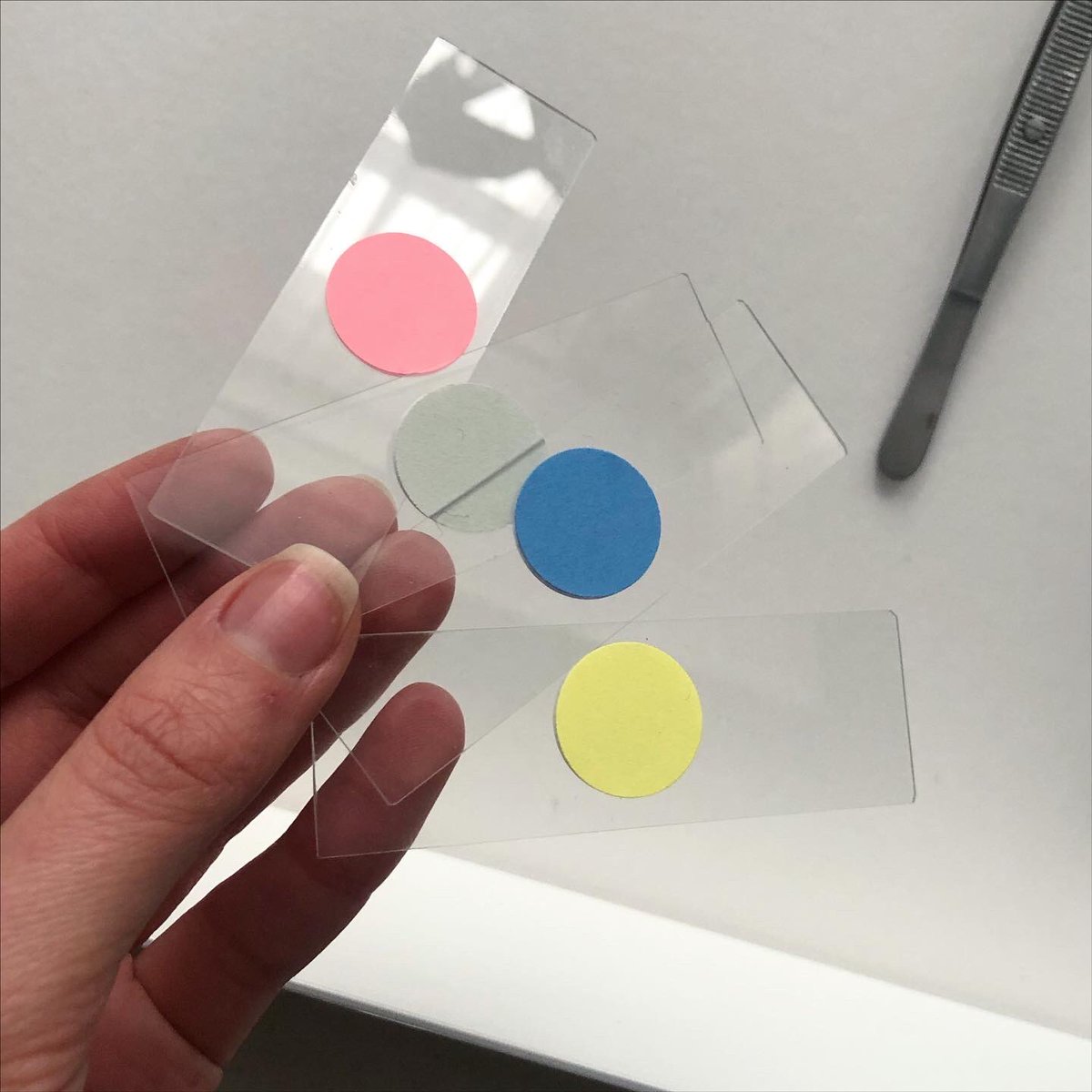 lauraboast's tweet photo. Neon-ing things up in my #PaperLab library of eco papers 💌✌🏻
#paperlover #loverofpaper #tiles https://t.co/c0zrIhEz6m