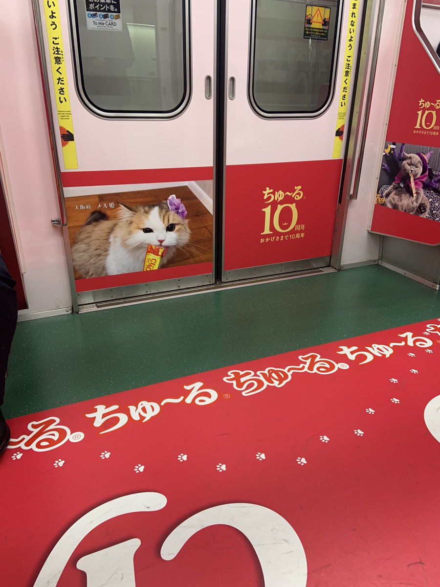 tomatoball's tweet photo. 猫好きにはたまらない🥰#丸の内線ちゅーるトレイン https://t.co/po6mlkDygr