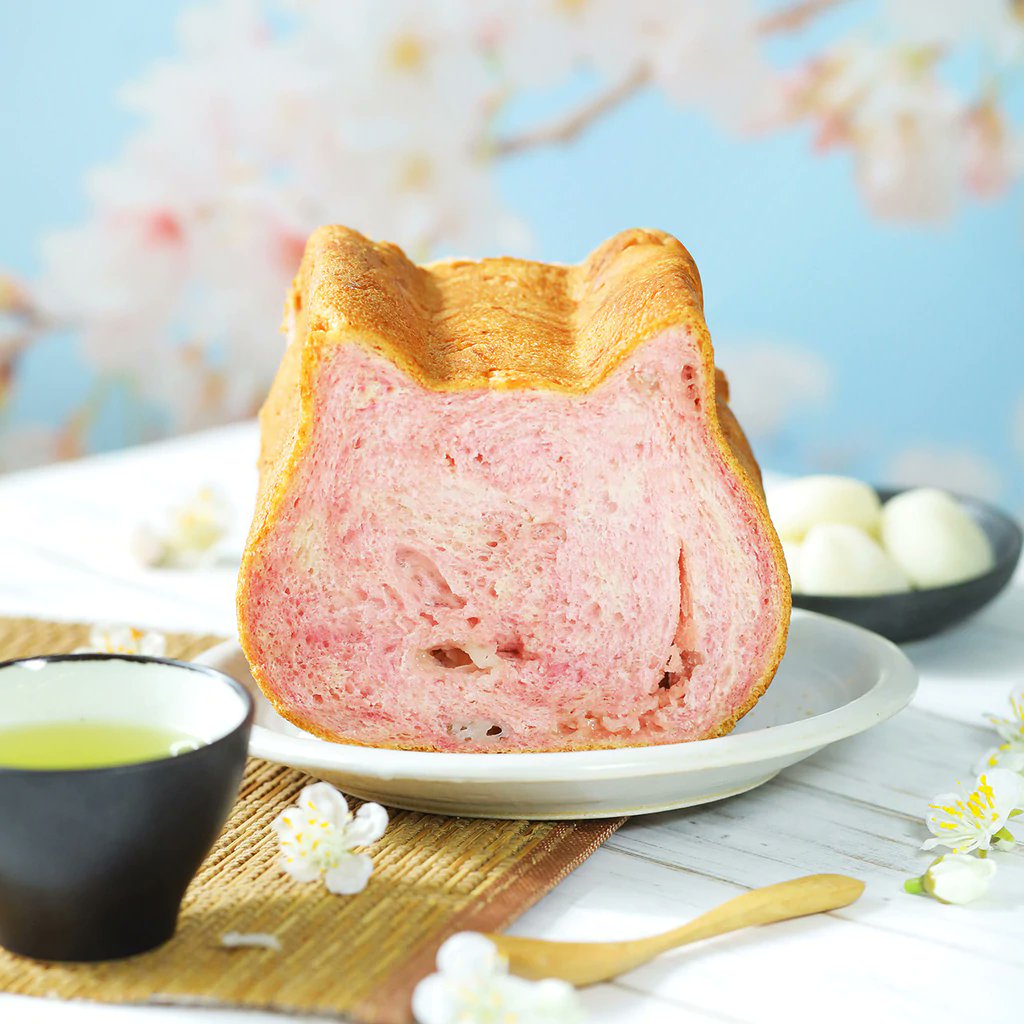 ec_maclogi's tweet photo. ◎3月オンライン限定◎ ねこねこ食パン（さくらもち＆プレーン）
ふわふわな食パンがねこ型なんてずるすぎる、、、
人類みな、限定ものには弱いよね。要チェック。
#ねこねこ食パン #猫 #パン #限定 #さくらもち 
https://t.co/eLhpkViiZC https://t.co/wR4nJOsn36
