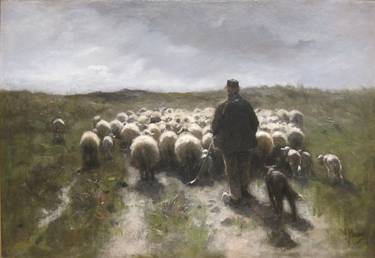 How often have we come across this scene on our travels? Leading from behind gives him the best view of his flock. Great leadership style. Food for thought on the day we celebrate our shepherd St Patrick 🍀 #pdsl #leadership @patriciamannixm <a href="/niamhickey/">Dr. Niamh Hickey</a> <a href="/Leaders_SoE/">UL_ELLA</a>