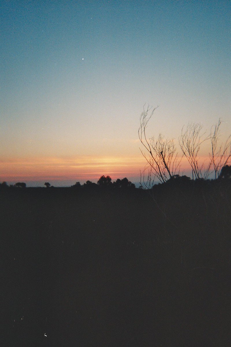 Gm faaam!🤟🏼🧋

From the magical view of an analog camera in a sunset🌅📷