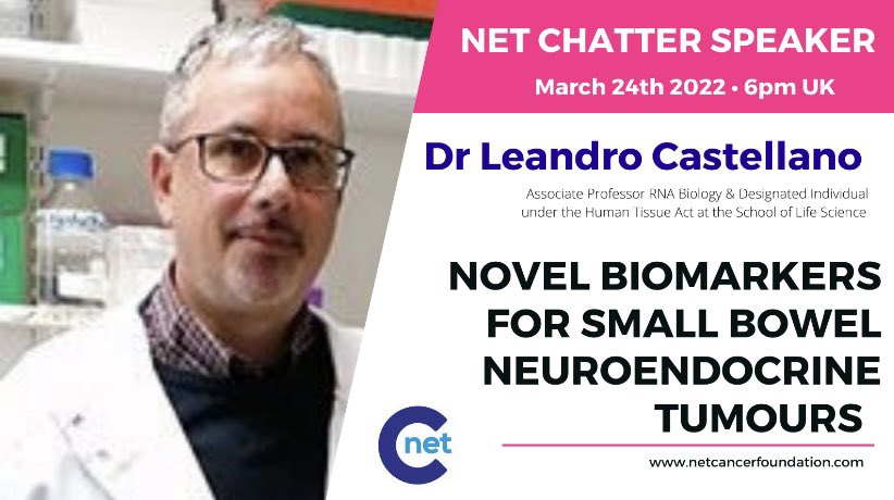 klines500's tweet photo. Don’t miss the @netcancerfound #NETCHATTER next week. Leandro Castellano from @imperialcollege & @unisussex will be telling us all about his work on ncRNA’s as biomarkers for #NeuroendocrineCancer. #LetsTalkAboutNETs #cureNETs. Email or DM for the link, details👇🏻 https://t.co/mGQyKJOr56