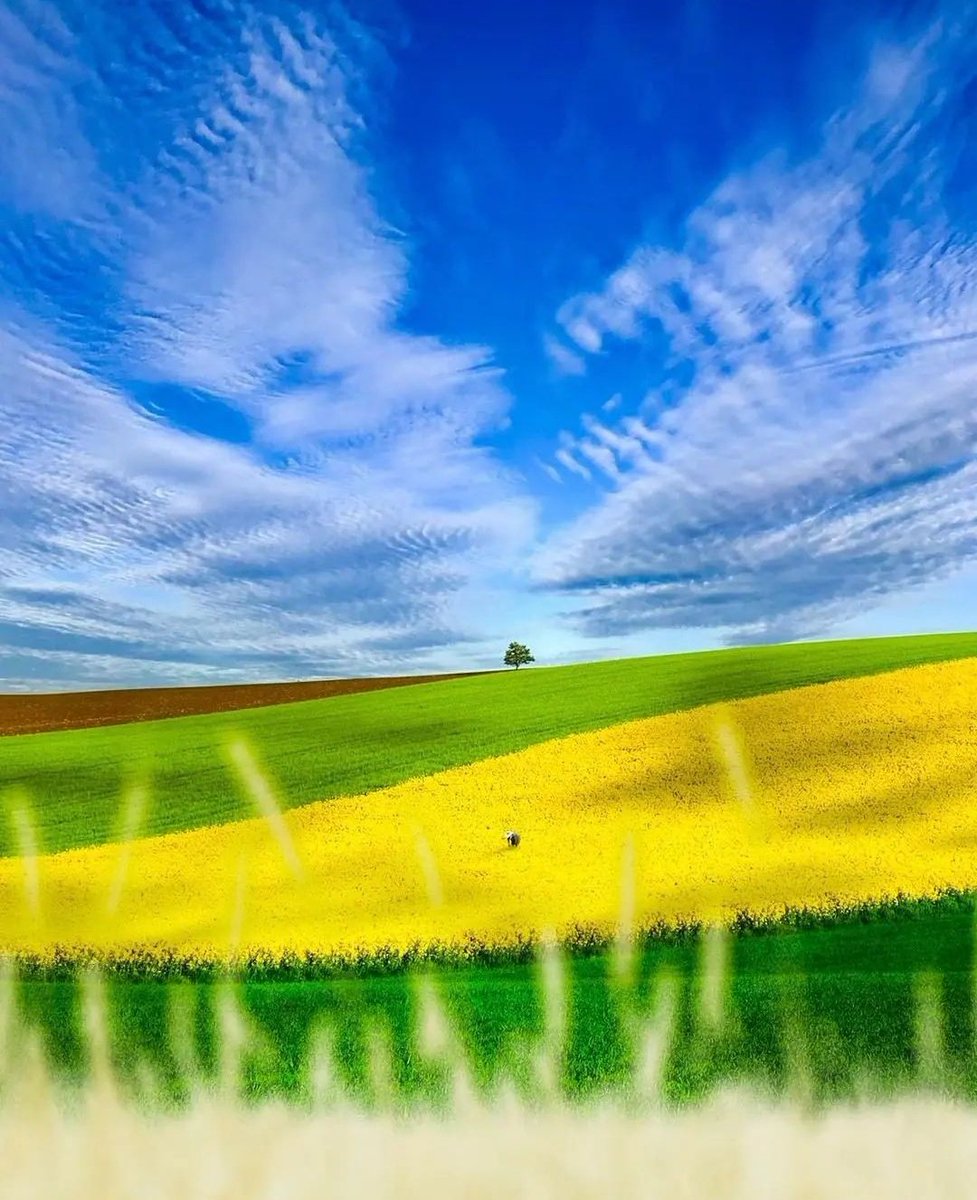 On Twitter Pleasant Day To Everyone Https t co on-twitter-pleasant-day-to-everyone-https-t-co