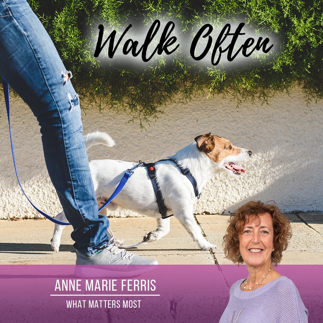 Anne Marie Ferris tweet media