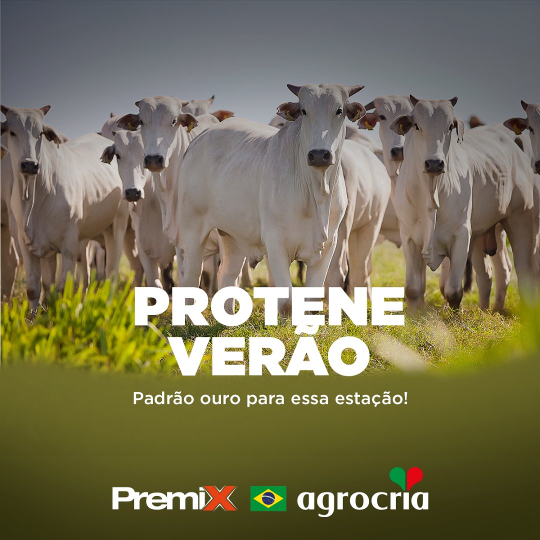 Agrocria_'s tweet photo. O Protene Verão é o suplemento ideal para o período das águas, que apesar de estar chegando ao fim, ainda oferece a oportunidade de unir o útil ao agradável: pasto verde + dieta adequada. Assim, a boiada ganha arrobas e chega na fase de terminação mais rápido. Aproveite! https://t.co/lNWhrgrb5U