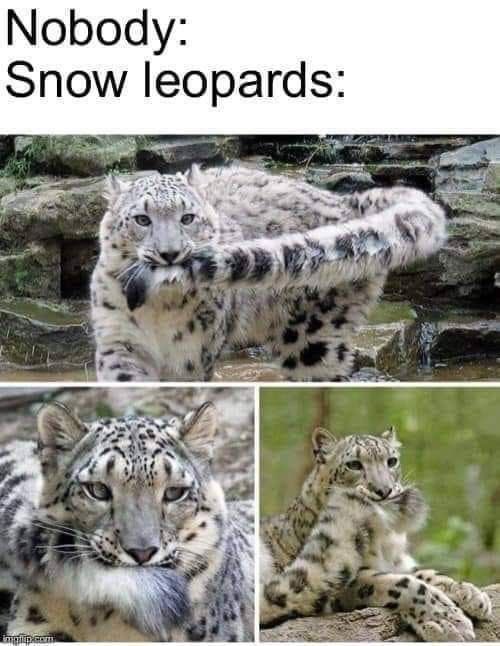 beatlesnewest's tweet photo. 🤣🤣😭😭 https://t.co/bIJoRvnvEx
