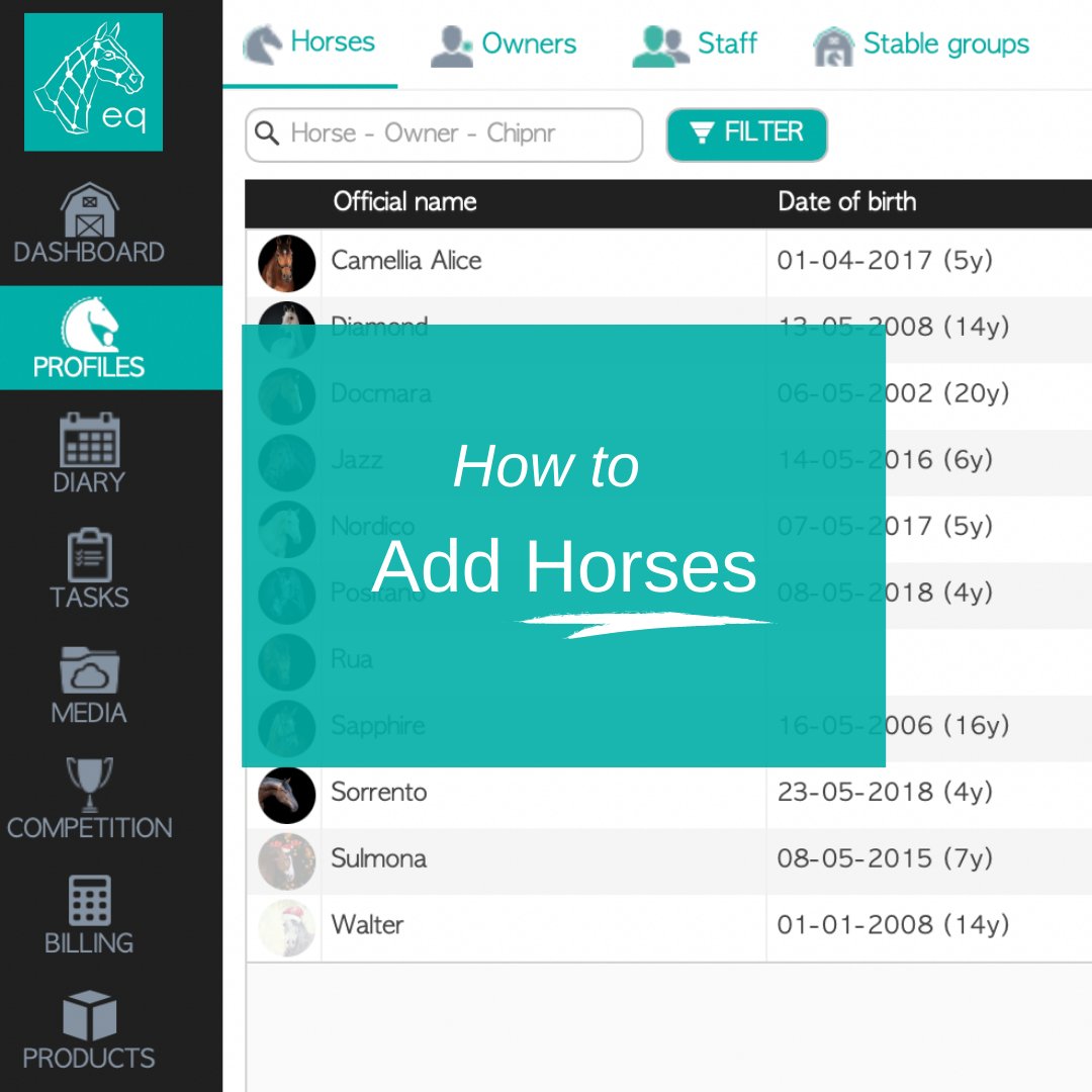 equicty's tweet photo. Horses are the most important asset to your stable. These are the steps you should follow to get them into your equicty account immediately! You have two great options 👍

Want more detail? Read our support article: https://t.co/aO4qyRTJur 

#horses #stablemanagement https://t.co/x6wBxrrVyK