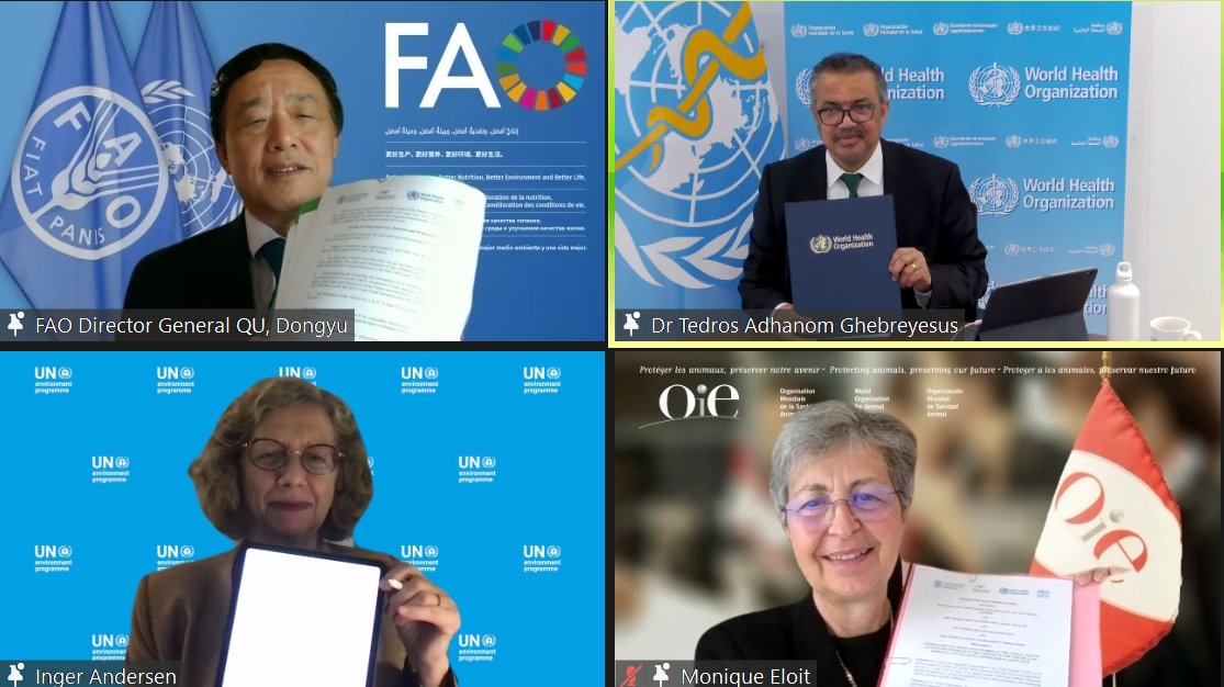 Dr Emmanuelle Soubeyran (@woah_dg) on Twitter photo I'm very pleased to have signed the MoU that will further strengthen the #OneHealth collaboration between <a href="/FAO/">Food and Agriculture Organization</a>, <a href="/WHO/">World Health Organization (WHO)</a> and now <a href="/UNEP/">UN Environment Programme</a> to tackle global health issues such as #AntiMicrobialResistance, the continued threat of #zoonoses and finding ways to reinforce our health systems. I'm very pleased to have signed the MoU that will further strengthen the #OneHealth collaboration between <a href="/FAO/">Food and Agriculture Organization</a>, <a href="/WHO/">World Health Organization (WHO)</a> and now <a href="/UNEP/">UN Environment Programme</a> to tackle global health issues such as #AntiMicrobialResistance, the continued threat of #zoonoses and finding ways to reinforce our health systems.