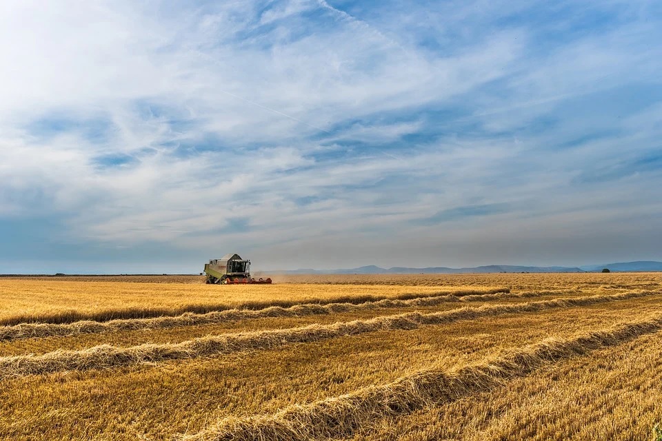 BAKS_Bund's tweet photo. Über 30% der weltweiten #Weizenexporte stammen aus #Russland und aus der #Ukraine. Auch bei weiteren Grundnahrungsmitteln wie Kartoffeln, Karotten und Weißkohl waren die beiden Staaten bislang unter den Top-5-Exportländern. (2/8)
Foto: Pixabay/josealbafotos https://t.co/xQikkgPT4s