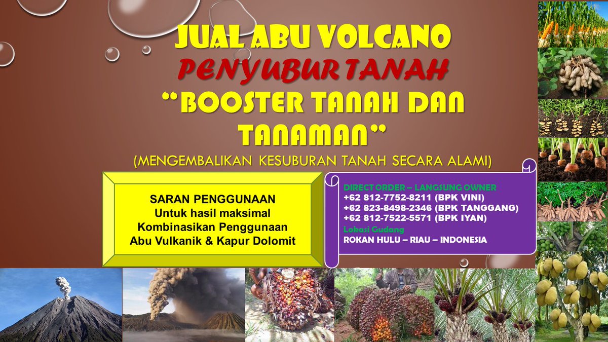 SerigalaManis's tweet photo. 0812-7752-8211 Pemasok Pupuk Kelapa Sawit Abu Vulcanic (Pembenah Tanah Perkebunan) ORIGINAL https://t.co/Gz8QA6pnbV

#rohul, #rokanhulu, #riau, #pupuksawit, #pembenahtanah, #pembenahtanahsawit, #jualabuvulkanik, #abuvolcano, #abuvulkanik, #rabuk, #pupuk,  #pupukorganik, #sawit, https://t.co/0qoJU5qQij