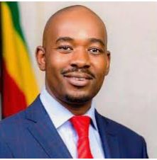 myconscience_1's tweet photo. Like for E.D. Retweet for Chamisa. Let's go! https://t.co/wy4BWkv4iG