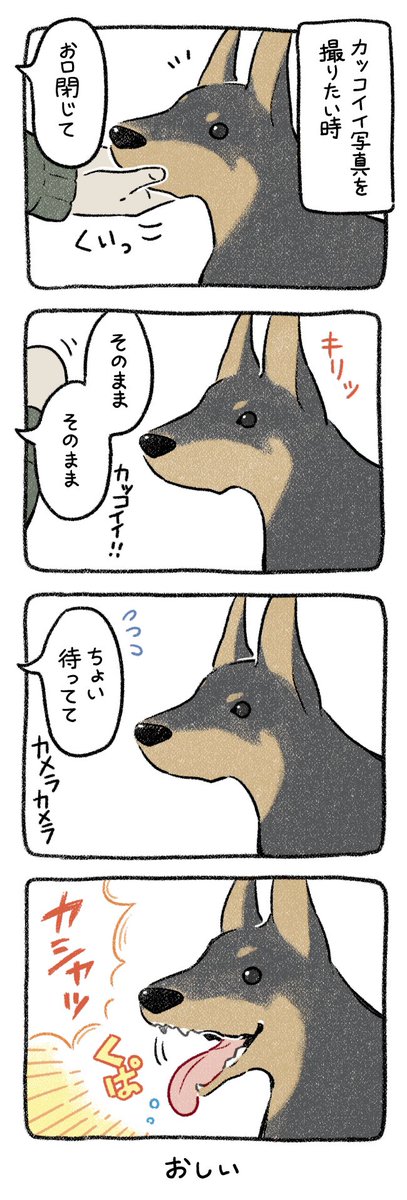 顎クイッからのクパァ(3秒) #漫画が読めるハッシュタグ #エッセイ漫画 #犬漫画 #犬