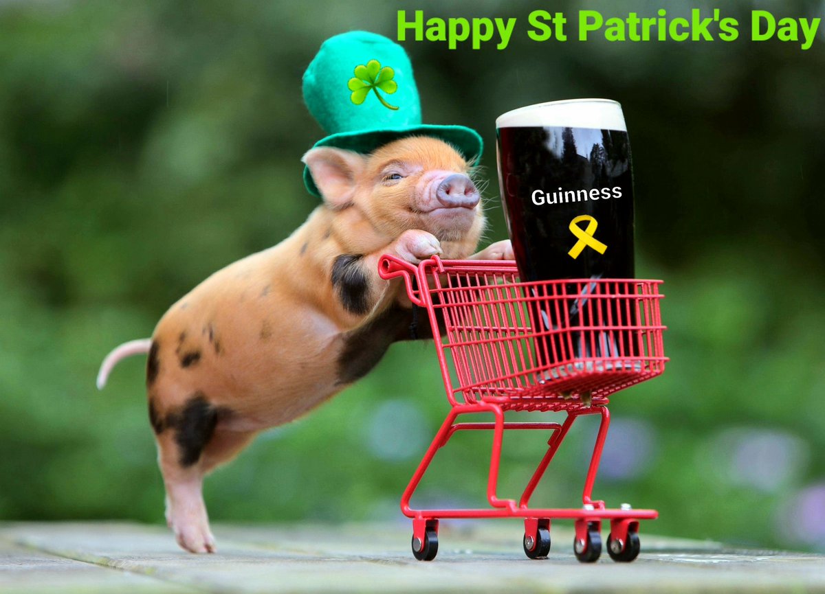 themairtinus's tweet photo. Happy St Patrick's Day
@GuinnessIreland https://t.co/HhwtBgo8hZ