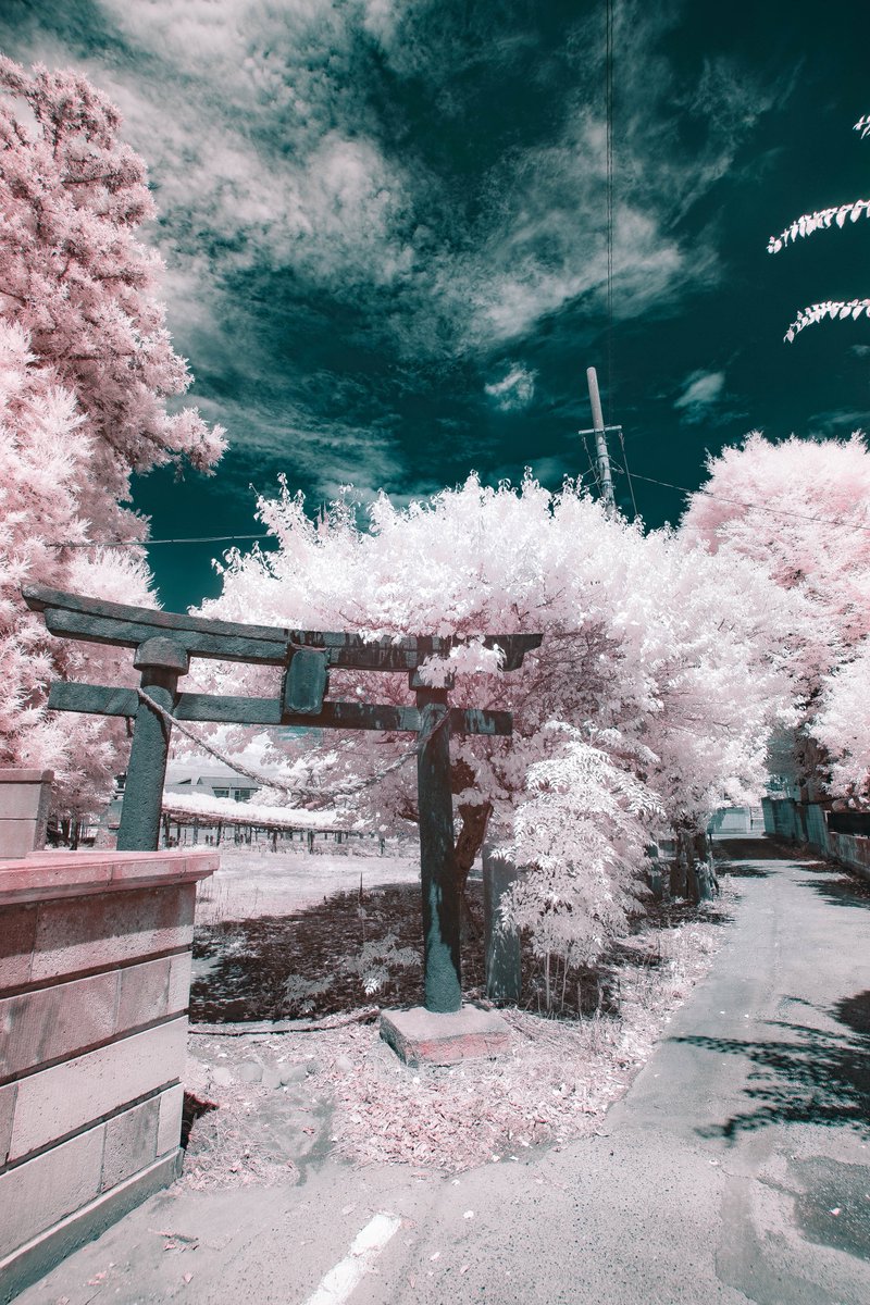 目に見える事だけが真実ではない https://t.co/kKbV1SrZqQ