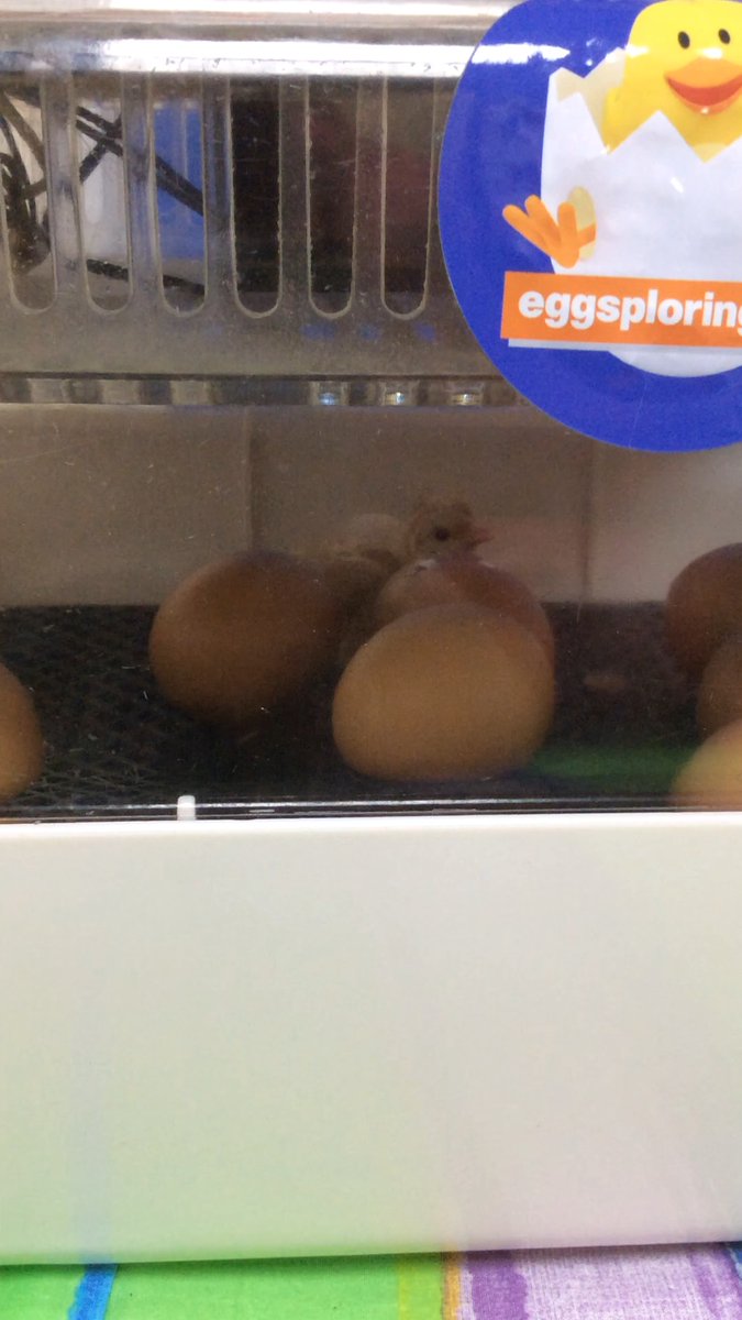 Mrs Karkoszka tweet media