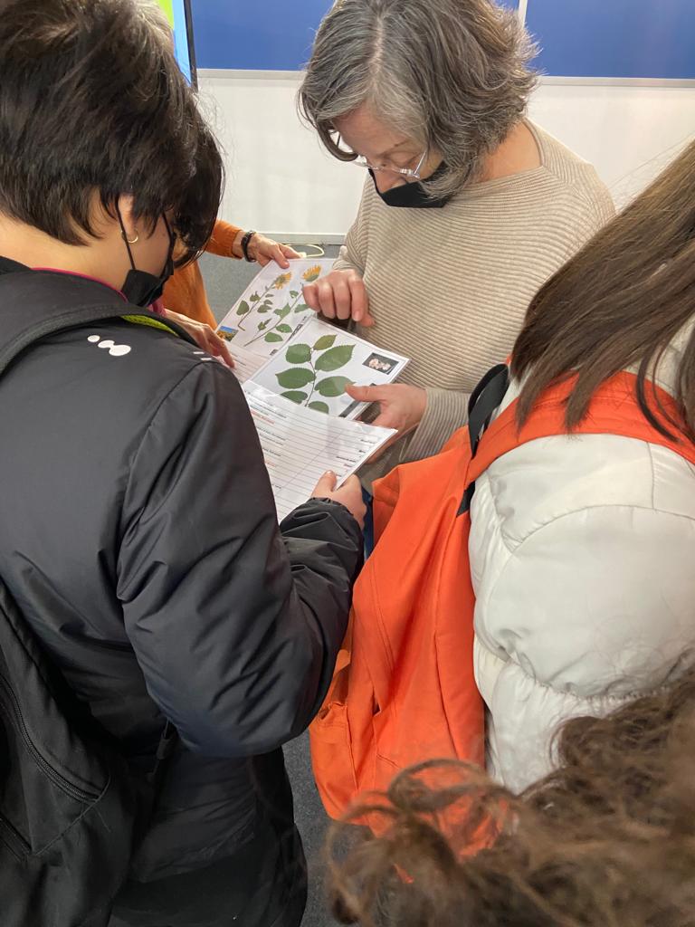fcri_cat's tweet photo. 🔬Un altre taller a l'#EspaiCiència! El Centre de Documentació de Biodiversitat Vegetal de la @UniBarcelona ens proposa aprendre a reconèixer algunes de les plantes més comunes del nostre territori a través del joc. https://t.co/kYNPX8tzPn