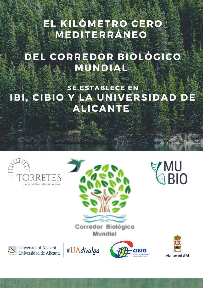 IUCibio's tweet photo. El Corredor Biológico Mundial presenta su kilómetro cero Mundial del Mediterráneo en Ibi, CIBIO, Universidad de Alicante.
📰 Aquí se puede ver la noticia completa:
✅ https://t.co/iXNphlpStz
#cibioua #mubio #uadivulga #torretes
-------------------------- https://t.co/c7B24zJqgx