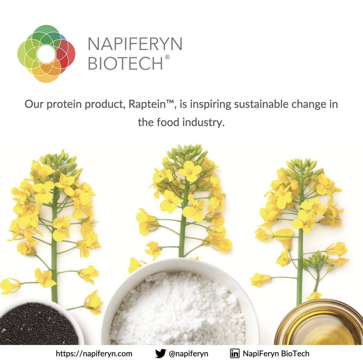 napiferyn's tweet photo. In addition to increased protein demand arising from population growth, increased demand for protein globally is driven by socio-economic changes, here's how sustainable plant protein is a game changer:
https://t.co/yfDAebjAHi
#H2020 #sustainablefood #rapeseed #biotech #ALSEOS https://t.co/mUGjKawJKg