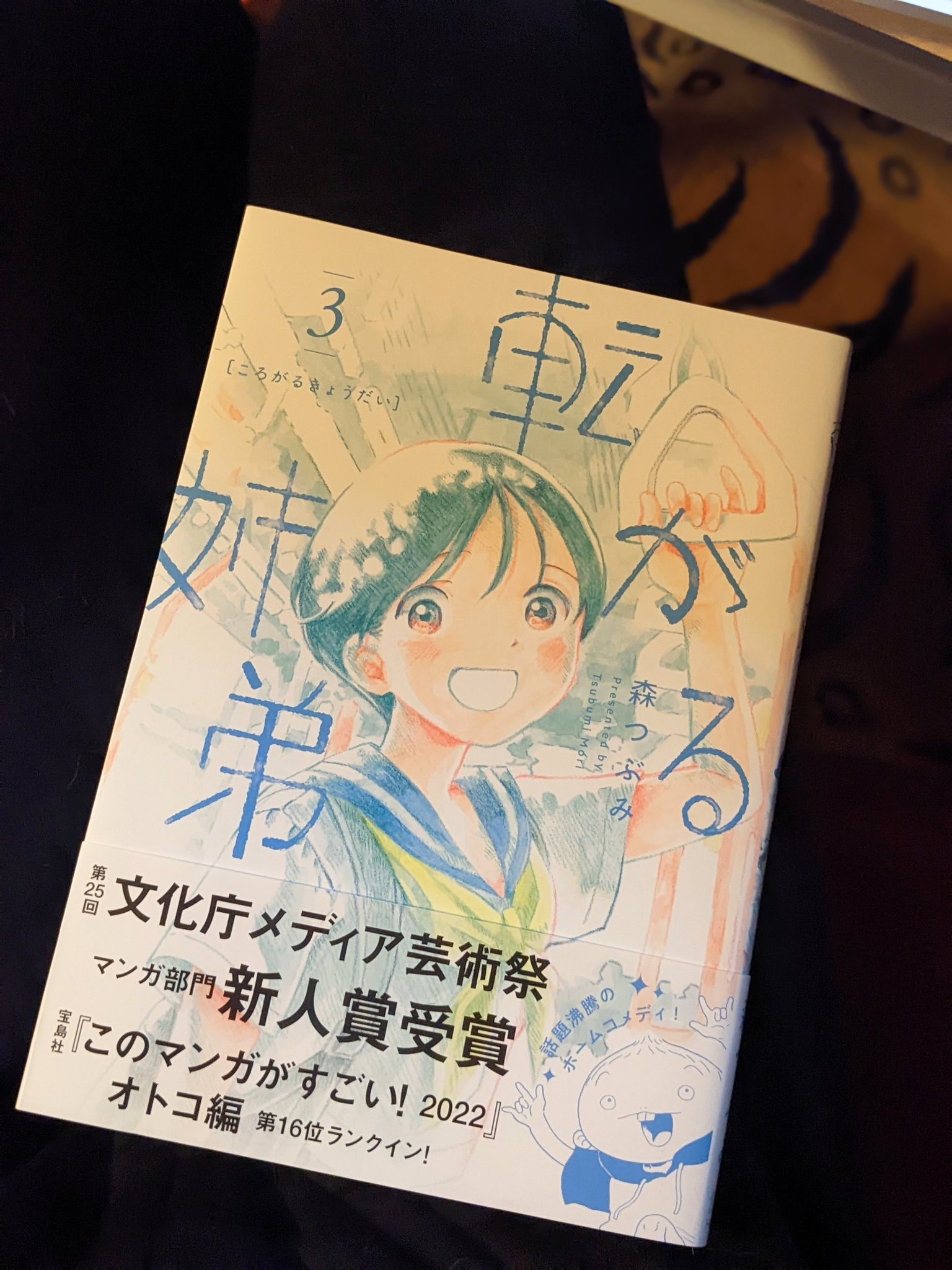 筒井大介 野分編集室 楽しみにしてた 転がる姉弟 3 巻 素晴らしかった 泣くやろこんなん やや疲れたハートのど真ん中に突き刺さった この前 小3の人にオススメの本という質問で コジコジ を挙げたのだけど これも良いな 勿論大人にも