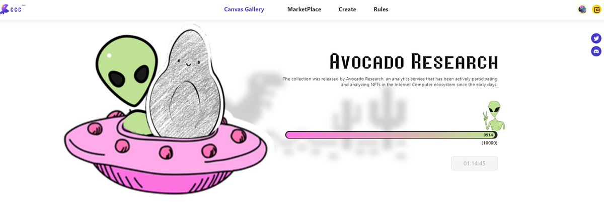 Avocado tweet media
