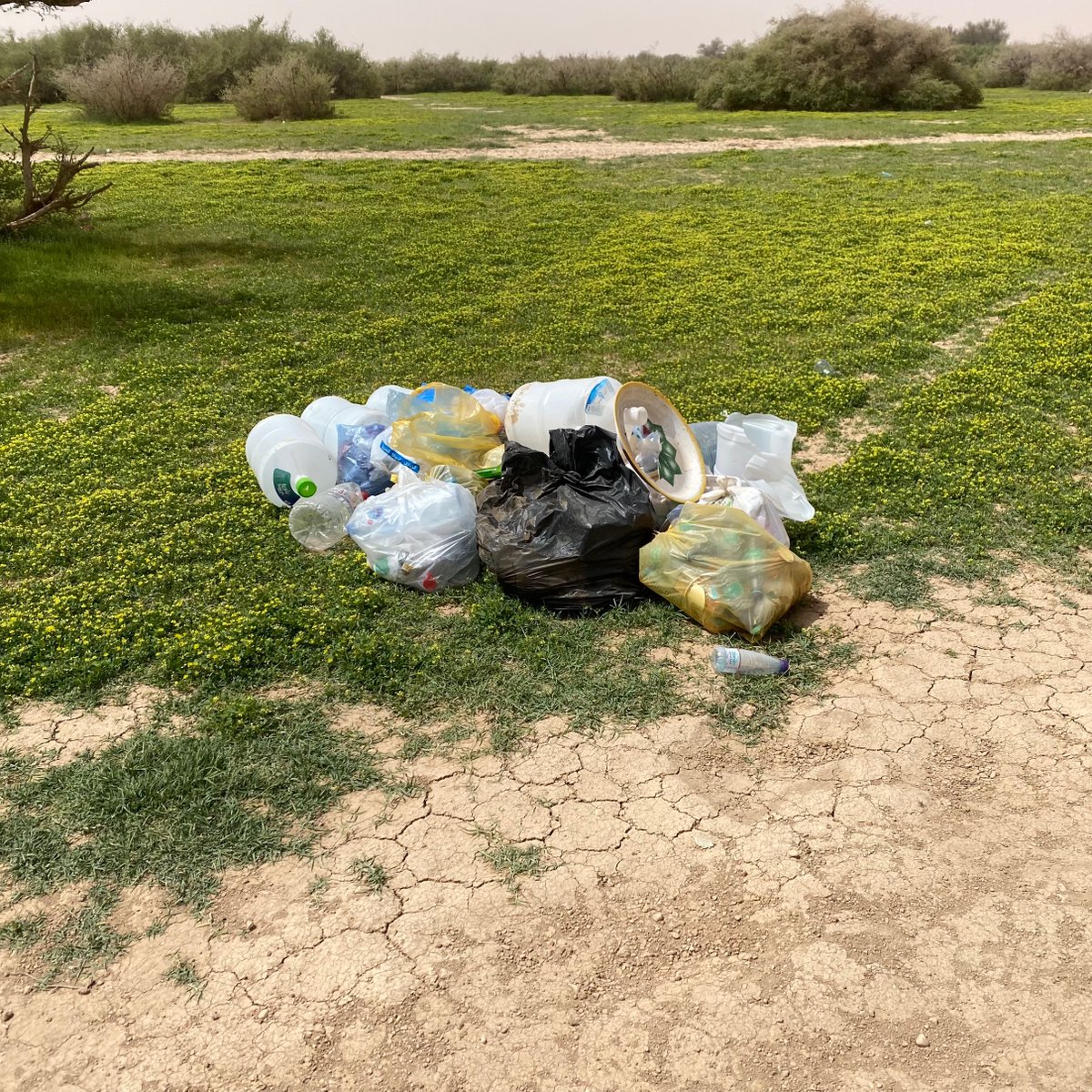 hsn19822's tweet photo. @rumahmun الاخوة في بلدية رماح : روضة خريم تحتاج الى نظافة ، من امس والوضع لم يتغير . https://t.co/V2vQxfoDnE