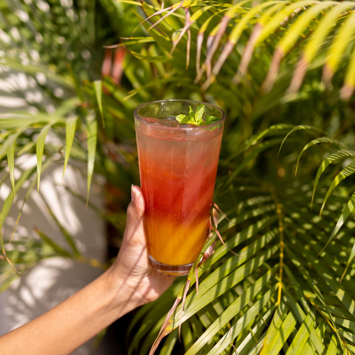 Continuing the #Holi celebrations with colourful drinks. Our #RainbowPunch is a smooth mix of grenadine, mango, pineapple &amp; orange juice with a dash of soda. Don’t forget to ask our mixologist his expert opinion if you’d like to have this as a #Cocktail! 🌈🍹

#Bangalore