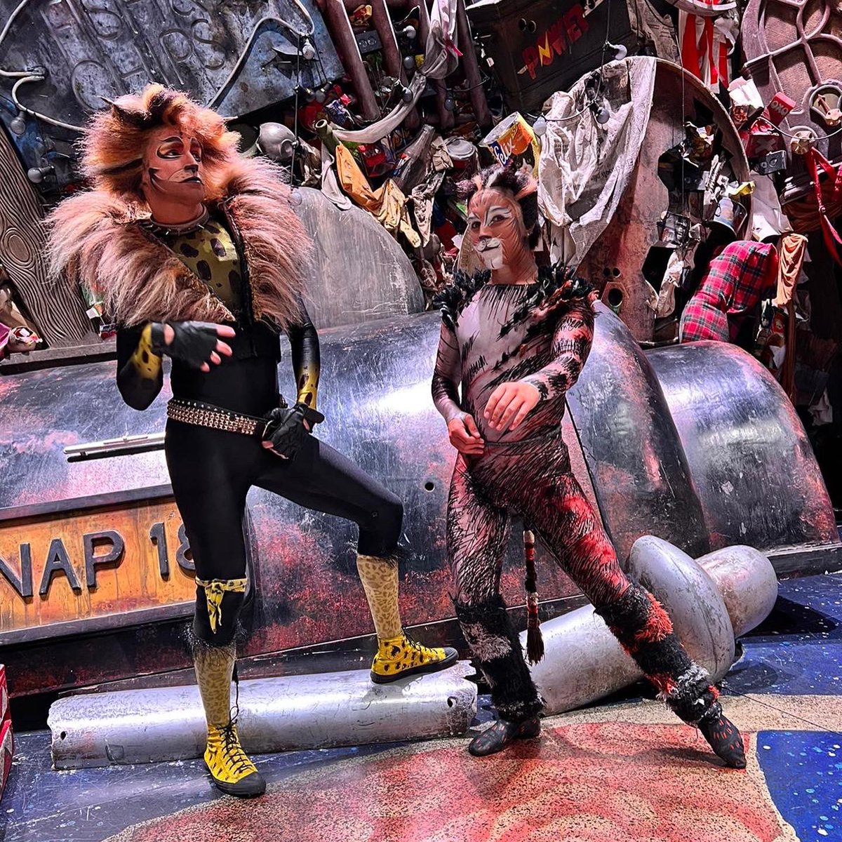 LaineTheatreArt's tweet photo. It’s not just the performing industry (on land) that’s beginning to thrive again - theatre is back in the ocean too! 🚢 🙌🎭💃🏽🕺🎵🌊

@NickWoodford93 and @conorashman in @CatsMusical and @emmashton and @JaredJohnson93 in @MammaMiaMusical - both shows are on @RoyalCaribbean! https://t.co/dF4Mv2AHnr