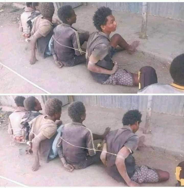 በአማራ ልዩ ሀይል ወሎ ኦሮሞ ላይ እየተደረገ ካለው ግፍ 10 ፐርሰንቱ እንኳን እየተነገረ አይደለም !

#ድምፃችንን_ለወሎ_ኦሮሞ