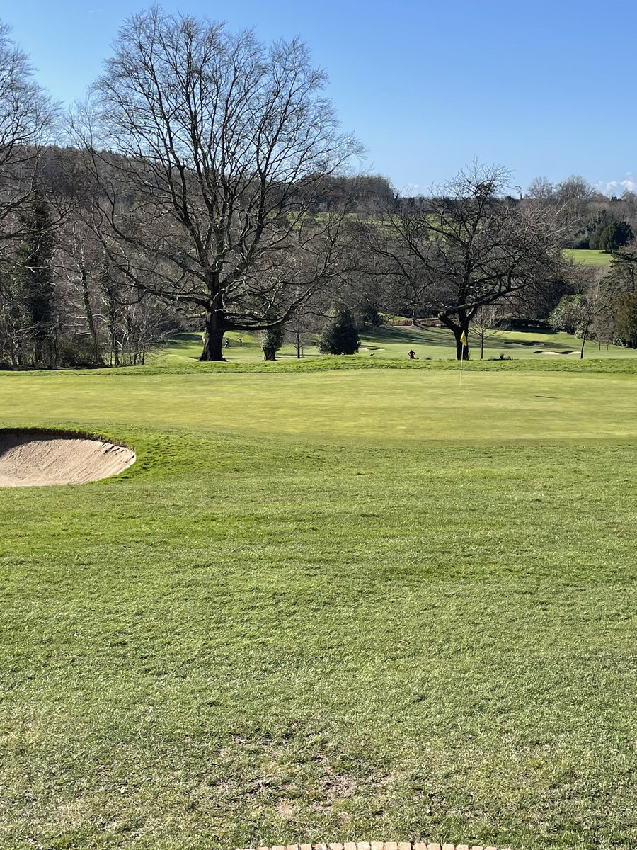 Darren Sheen tweet media