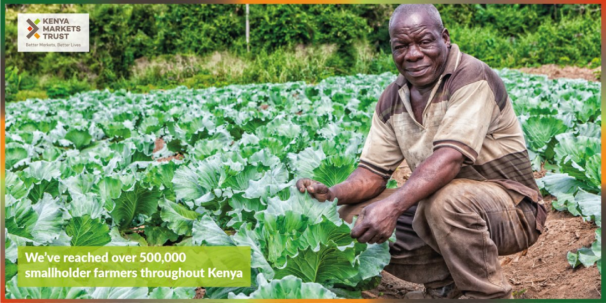 Our work in Kenya's agri-inputs sector is helping farmers adopt better farming methods. We've reached over 500,000 smallholder farmers throughout Kenya.

Learn more about our impact in the agri-inputs sector: 
kenyamarkets.org/impact/

#BetterMarketsKe #agricuture #AgriTech #kenya