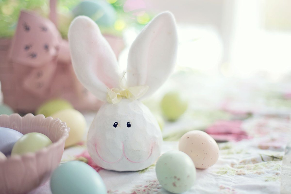 🏹 My Nottingham (@mynottingham) on Twitter photo Book now for our children's Easter activity clubs! We've teamed up with <a href="/NFFC_Community/">Nottingham Forest Community Trust</a> and others to offer loads of fun stuff over the holidays in #Nottingham🙌
Everything you need to know and how to book...
asklion.co.uk/kb5/nottingham…
More here... mynottinghamnews.co.uk/time-to-start-… Book now for our children's Easter activity clubs! We've teamed up with <a href="/NFFC_Community/">Nottingham Forest Community Trust</a> and others to offer loads of fun stuff over the holidays in #Nottingham🙌
Everything you need to know and how to book...
asklion.co.uk/kb5/nottingham…
More here... mynottinghamnews.co.uk/time-to-start-…