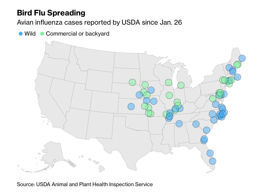 Highly pathogenic avian influenza is back in the U.S., forcing #farmers to cull flocks and pushing up egg prices at a time of rampant #food inflation bloomberg.com/news/articles/…